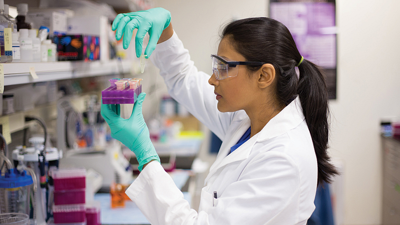 Biology Career