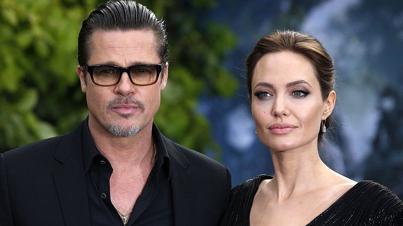 Brad Pitt says Angelina Jolie 'sought to inflict harm' with vineyard sale