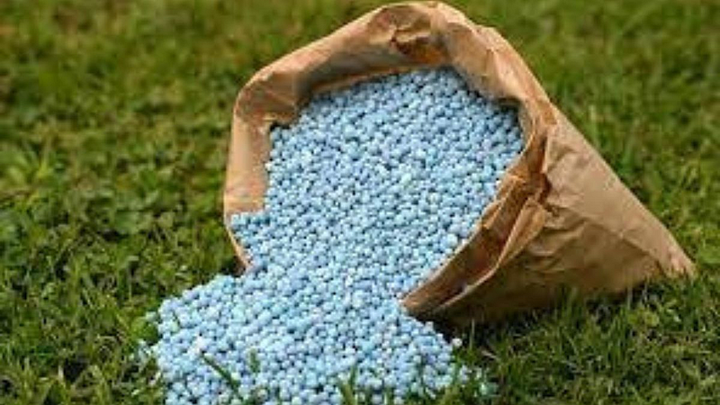 Fraud from school and fertilizer shopkeeper in Beed