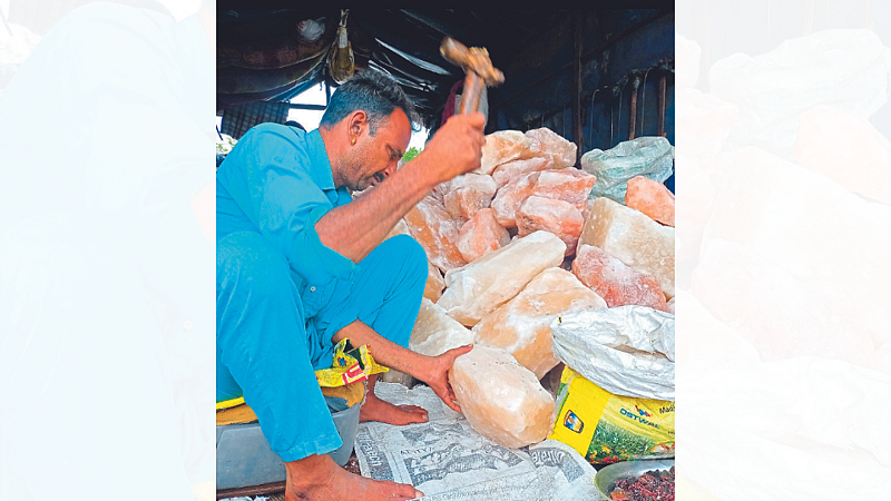 pink rock salt seller from rajasthan