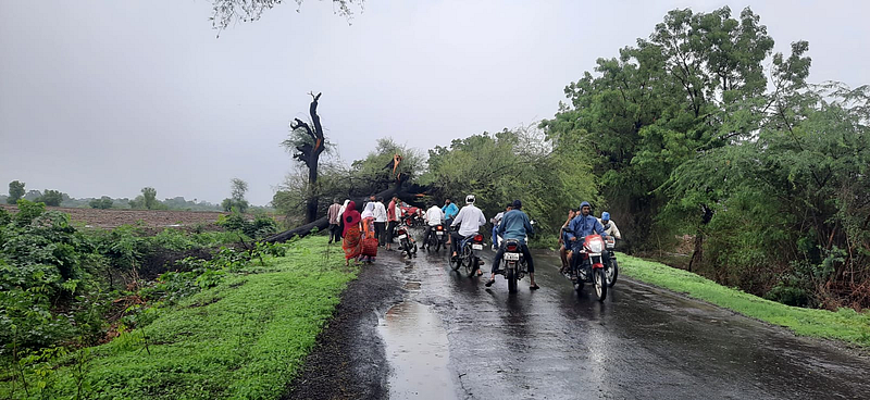 collapse tree on Brahmanpade road