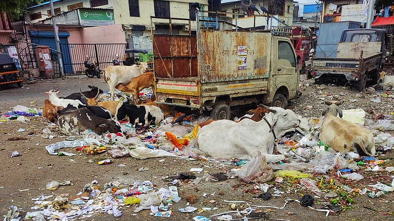 Warakari inconvenienced in market yard market committee has not held review meeting Dnyaneshwar Maharaj and Sant Tukaram Maharaj palkhi pune