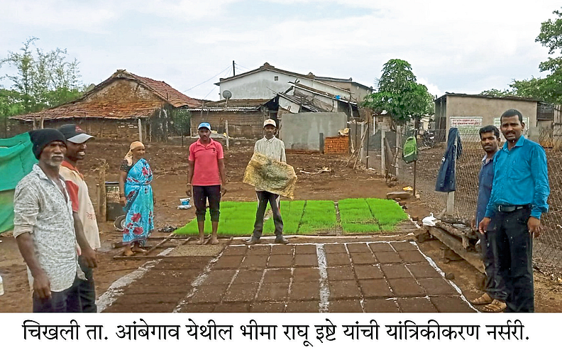 भात पिकांच्या रोपवाटिकेला पोखरीत पावसामुळे जीवदान