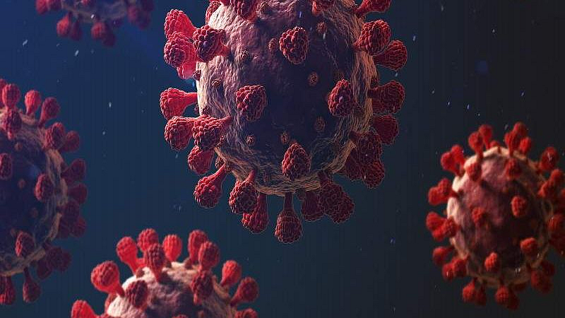 corona virus