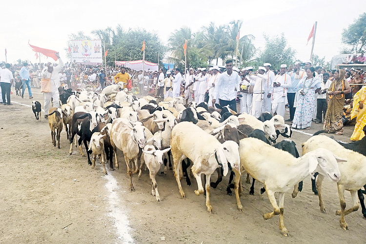वारी फोटो फिचर