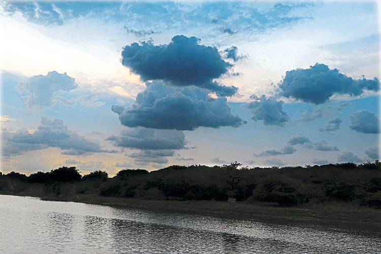 Nature during pre monsoon Rains