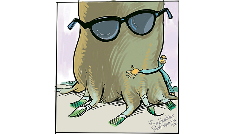 Hous of Bamboo