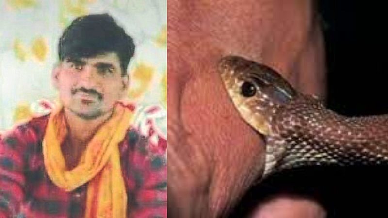 Bhausing Locham death due to snake bite