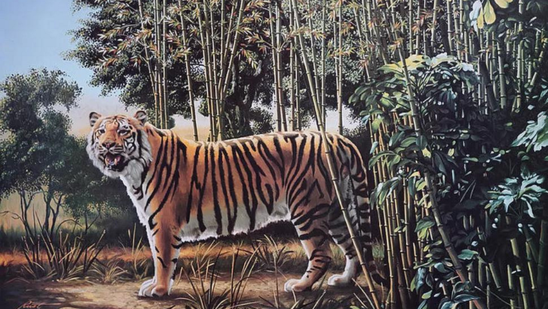 The hidden tiger
चित्रात लपलेला वाघ तुम्हाला दिसतोय का ? नाही, जो समोर दिसतोय तो नाही. तुम्हाला तो वाघ शोधायचा आहे जो आपले दात दाखवत आहे.