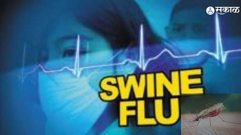 health news Thane alert swine flu dengue malaria two death municipality action