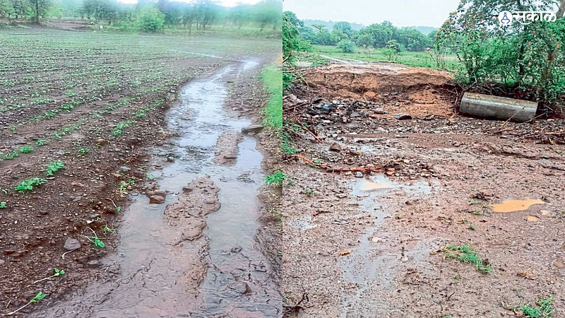 Buldana weather updates monsoon Heavy rains