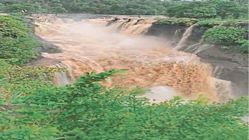 Major damage caused by rains in Akole Ahmednagar