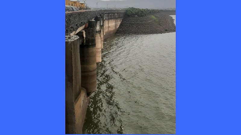 Increase water in kukdi project intercropping