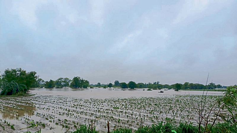 hingoli
