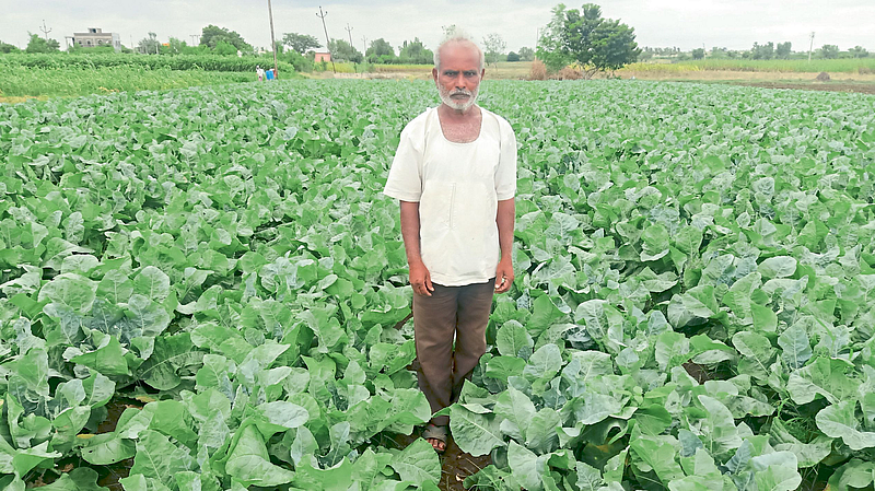sangli