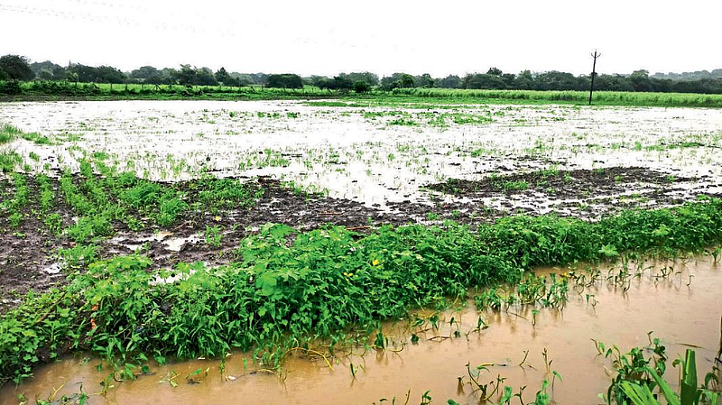 hingoli