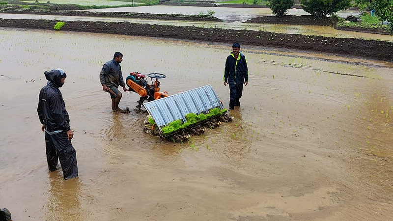 agriculture news farmers mechanized rice cultivation income at low cost