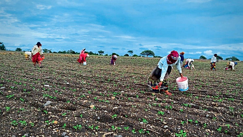 Latur Ambajogai farmers crops damage