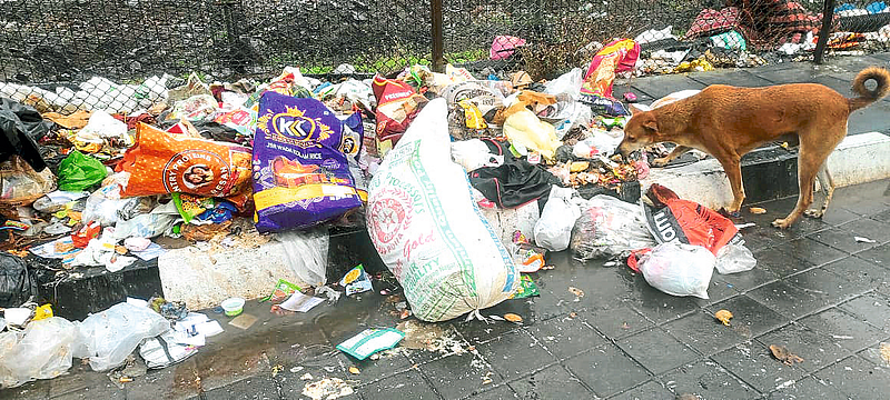पिंपळे गुरव परिसरात पदपथावरच कचऱ्याचे ढीग