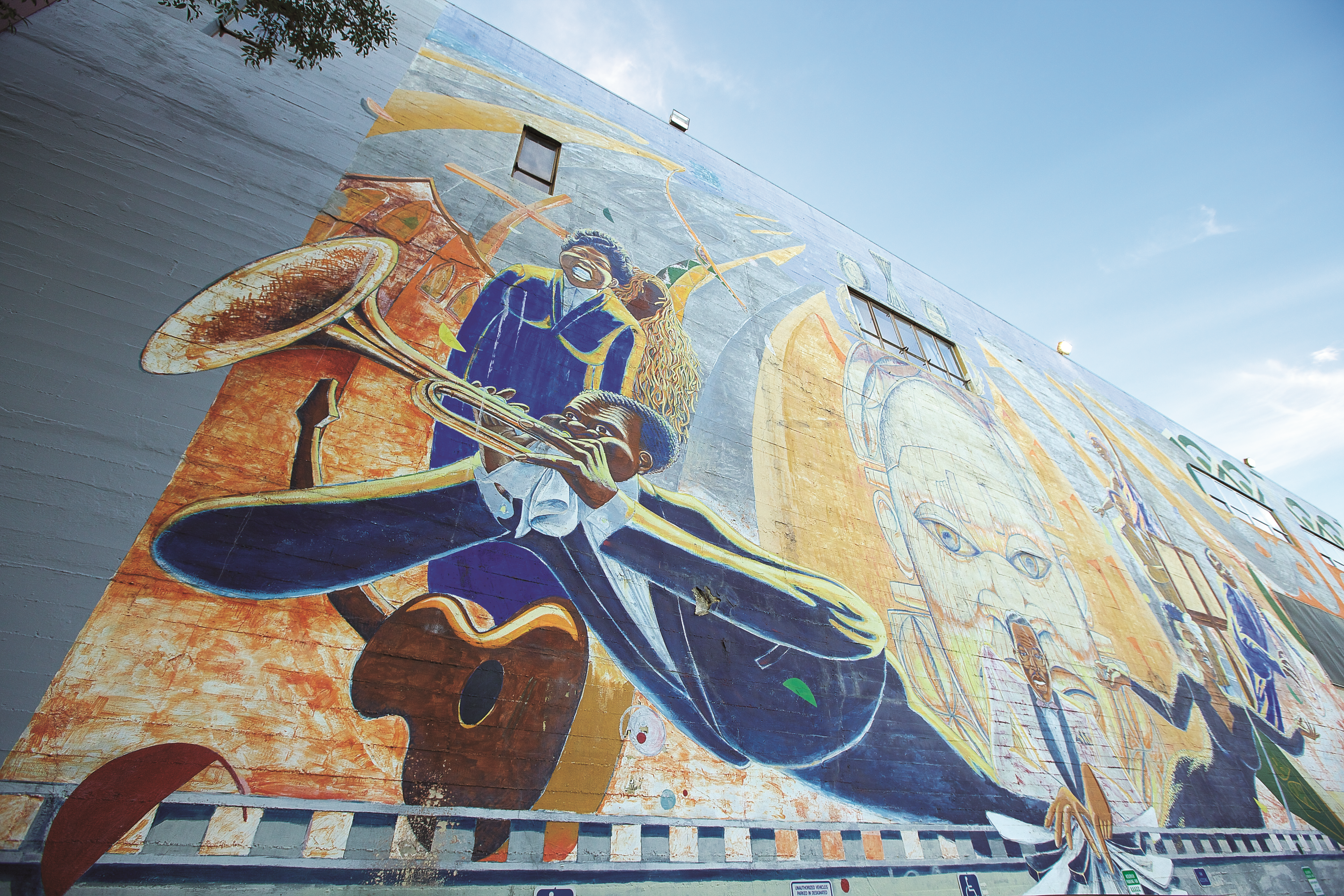 The African American Arts & Culture Complex