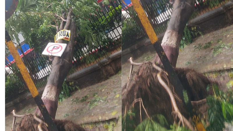 Mumbai Rain Update