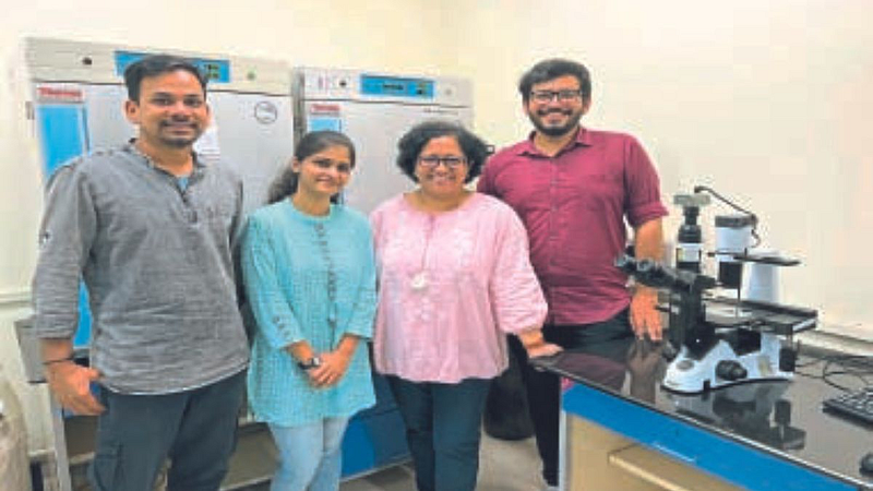 Research of IB Experiment of gum cells on mice successful Lung damage stem cells