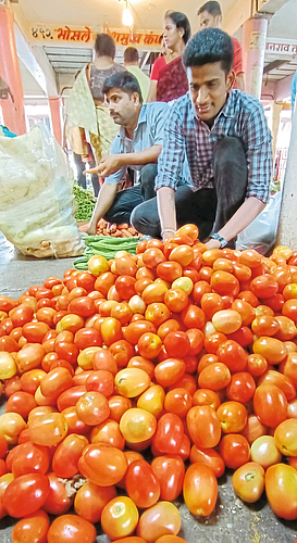 टोमॅटो, कोबी, घेवडा, मटार, पावट्याच्या भावात घट