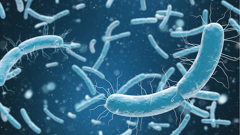 Microbial infection