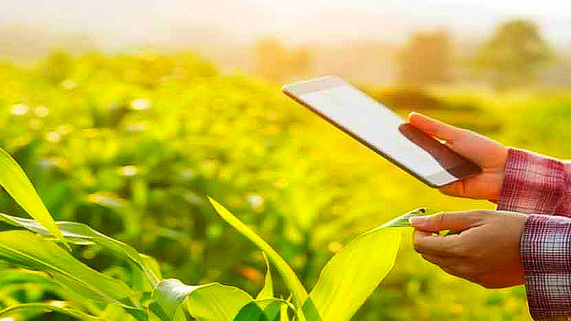 Department of Agriculture E-Peek Pahani improved app available for farmers from august 1e-peak inspection