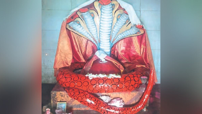 Chandanshesh Maharaj Mandir Jagurt at Govardhan in Risod Taluk