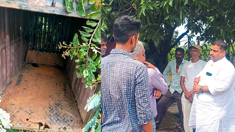 Leopard latest marathi news