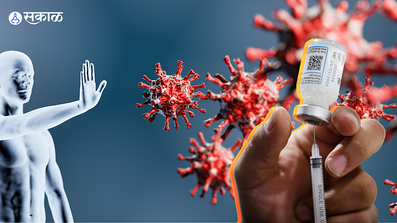 What is Hybrid immunity, read about it