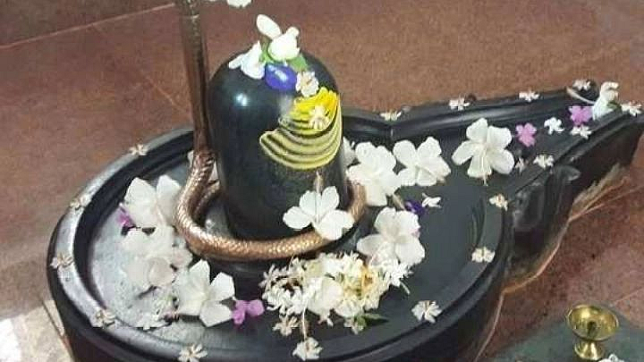 शिवामूठ चौथी; मानसिक स्वास्थ्य देणारे : जवस
