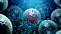 Nagpur Viral infection in Kamathi taluka Nagpur Viral infection in Kamathi taluka