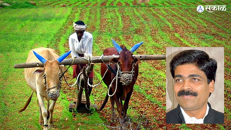 farmer