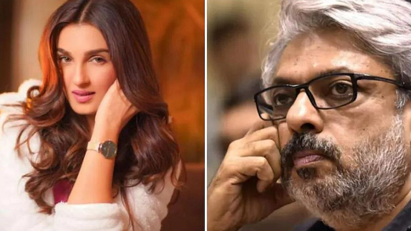 Shiny doshi, a panday store actress on Sanjay leela bhansali's Sarswatichandra Serial experience