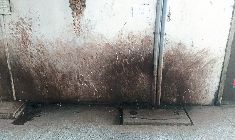 The corners of the walls of government offices and commercial complexes are painted with gutkha spit.