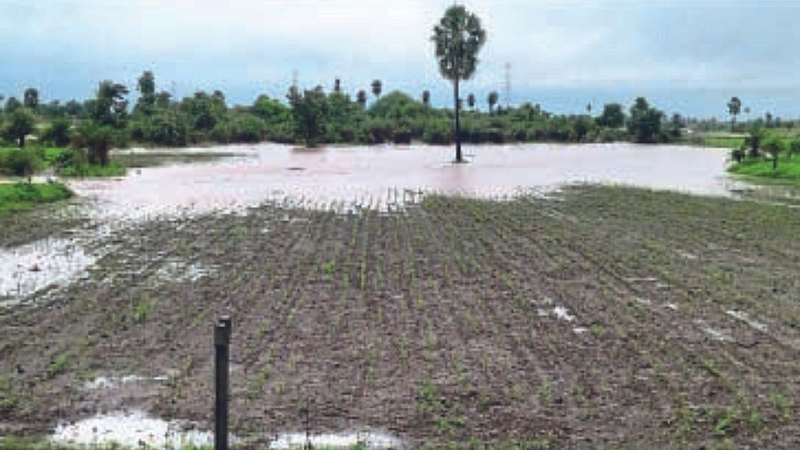 58 crore 32 lakh loss to farmers