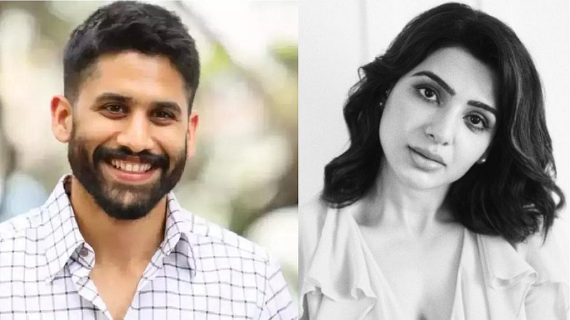 Naga Chaitanya Reaction On Finding New Love..