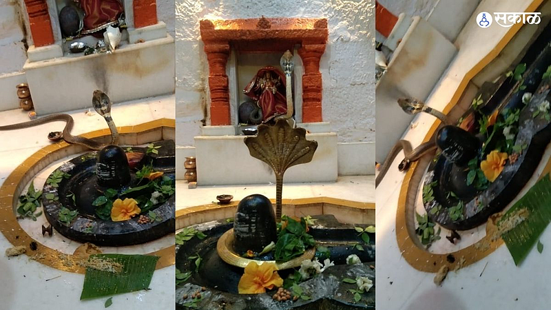 Shravan 2022 Pune Loni Kalbhor Mahadev temple