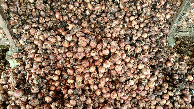 onions