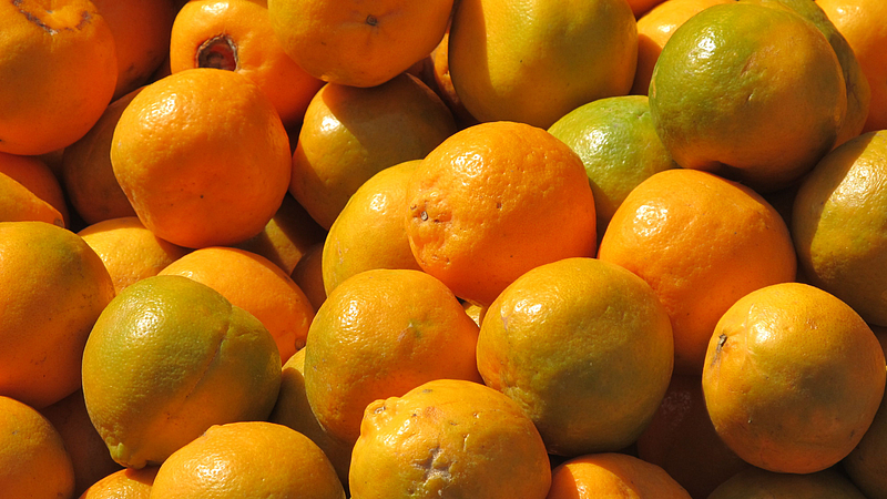 Orange fruit Demand Export