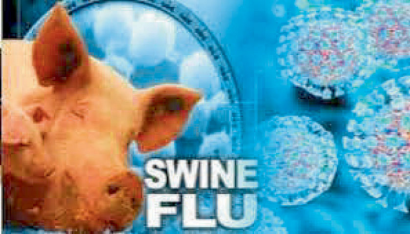 health news 20 swine flu patients on ventilator nagpur