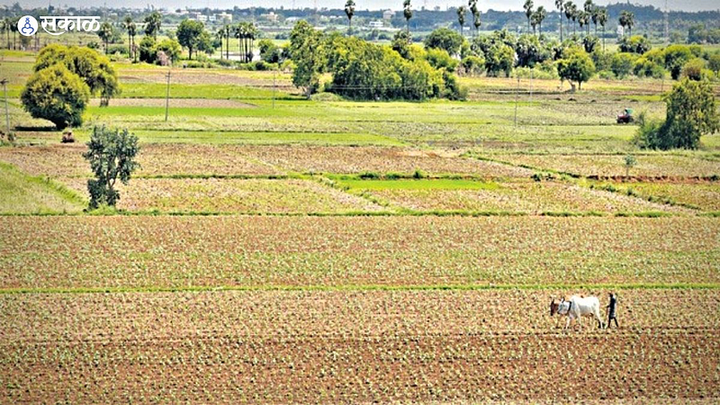 Agriculture Land