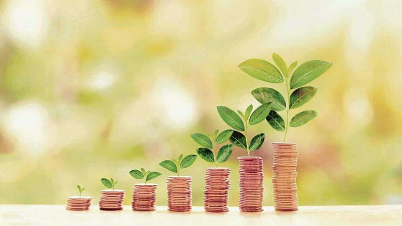Investment