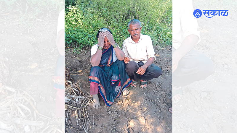 Latabai Koli while narrating the incident