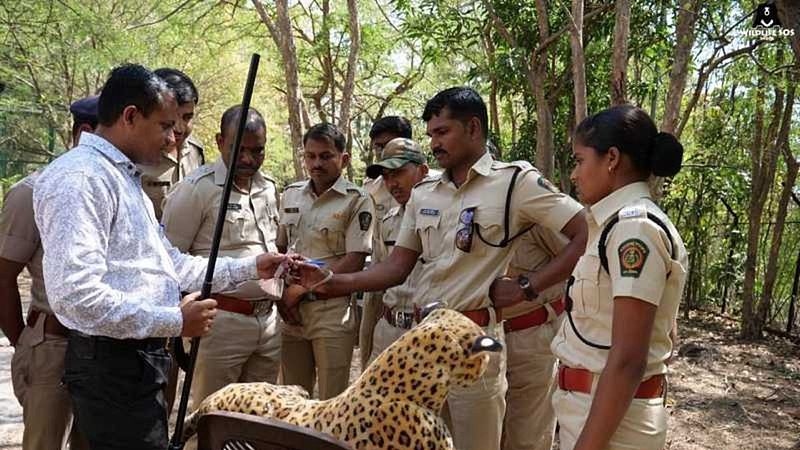 वन कर्मचाऱ्यांना मिळणार पोलीसांप्रमाणं लाभ; राज्य शासनाचा मोठा निर्णय