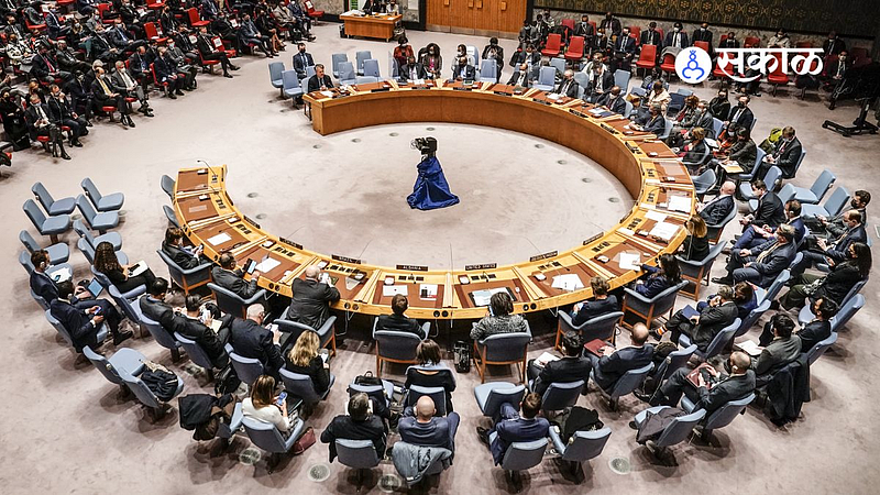 United Nations Security Council