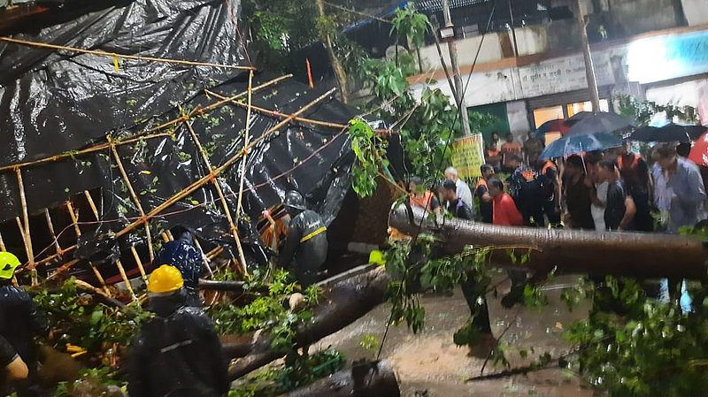 One dead four injured due to falling tree in Thane mumbai
