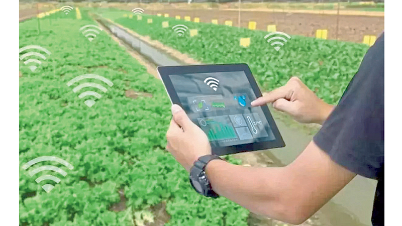 Digital Agriculture